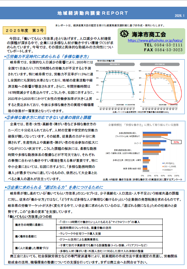 地域経済,動向調査,レポート,岐阜県,海津市